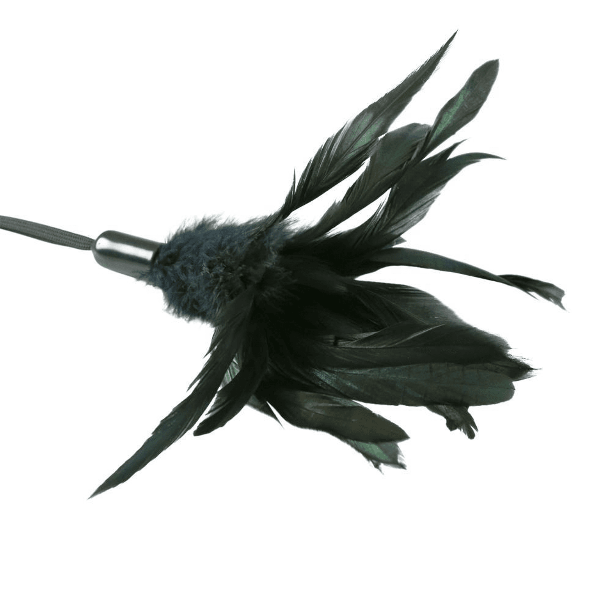 PREMIUM PLEASURE FEATHER BLACK